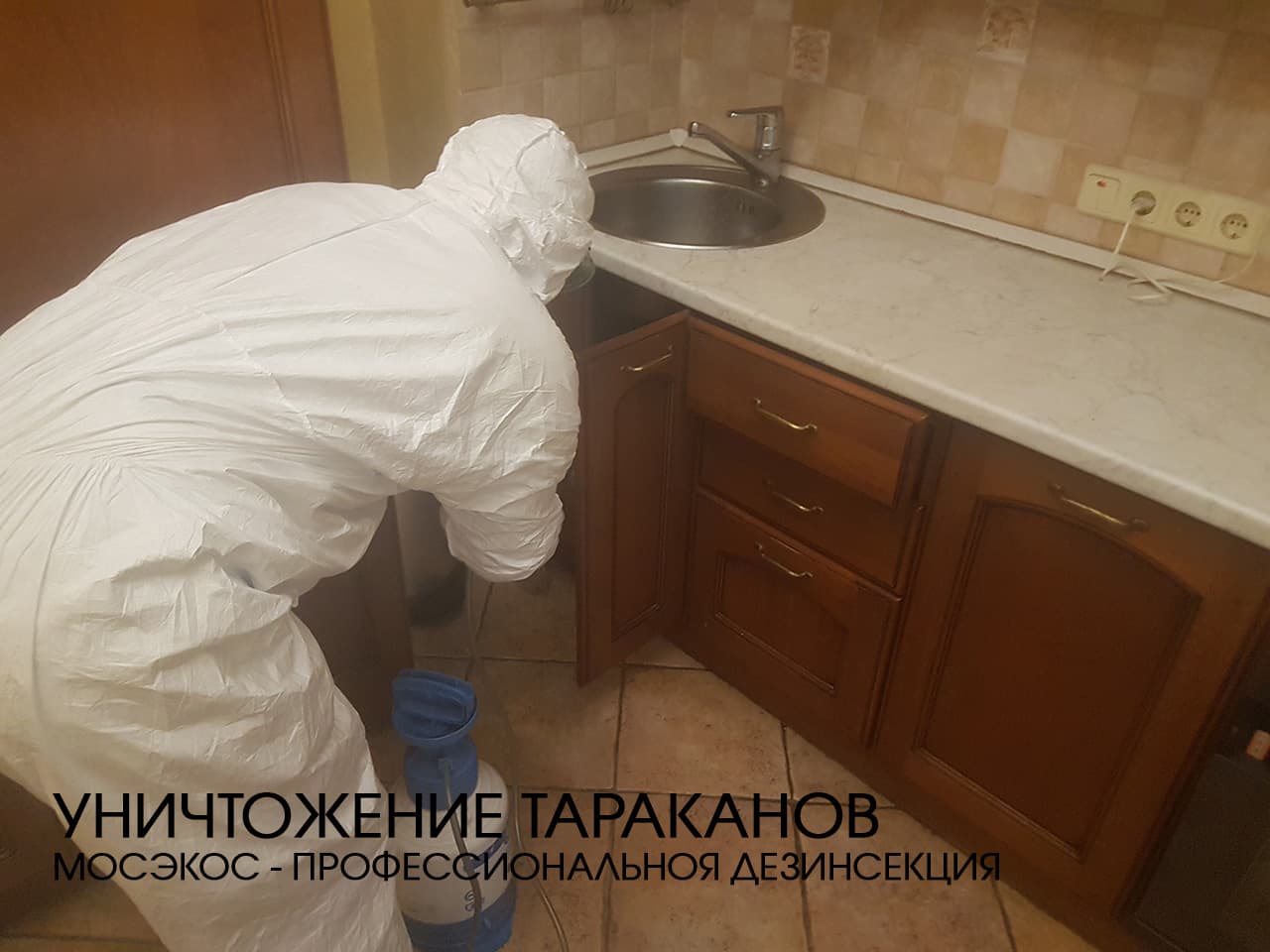 Служба по уничтожению тараканов Служба по уничтожению тараканов
