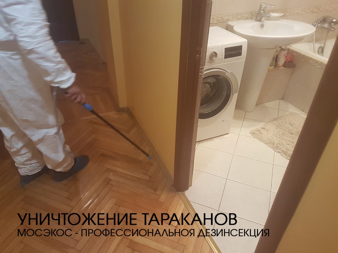 уничтожение тараканов уничтожение клопов и тараканов
