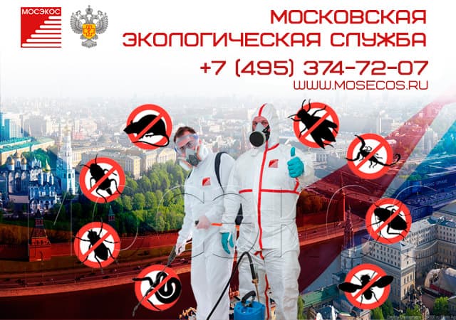 Санитарная служба Санитарная служба